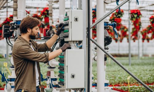 Man florist working in green house